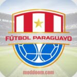 Futbol Paraguayo en vivo