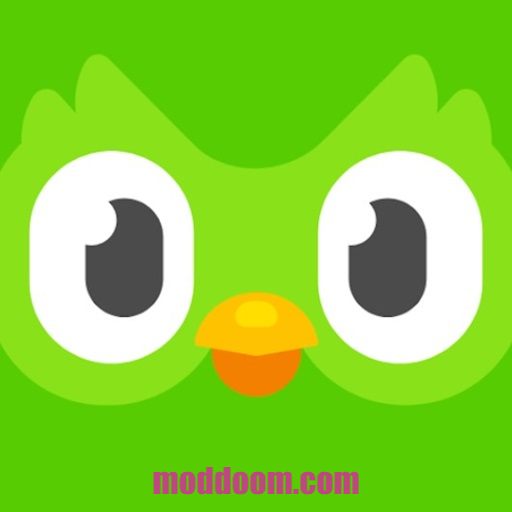 Duolingo Premium icon